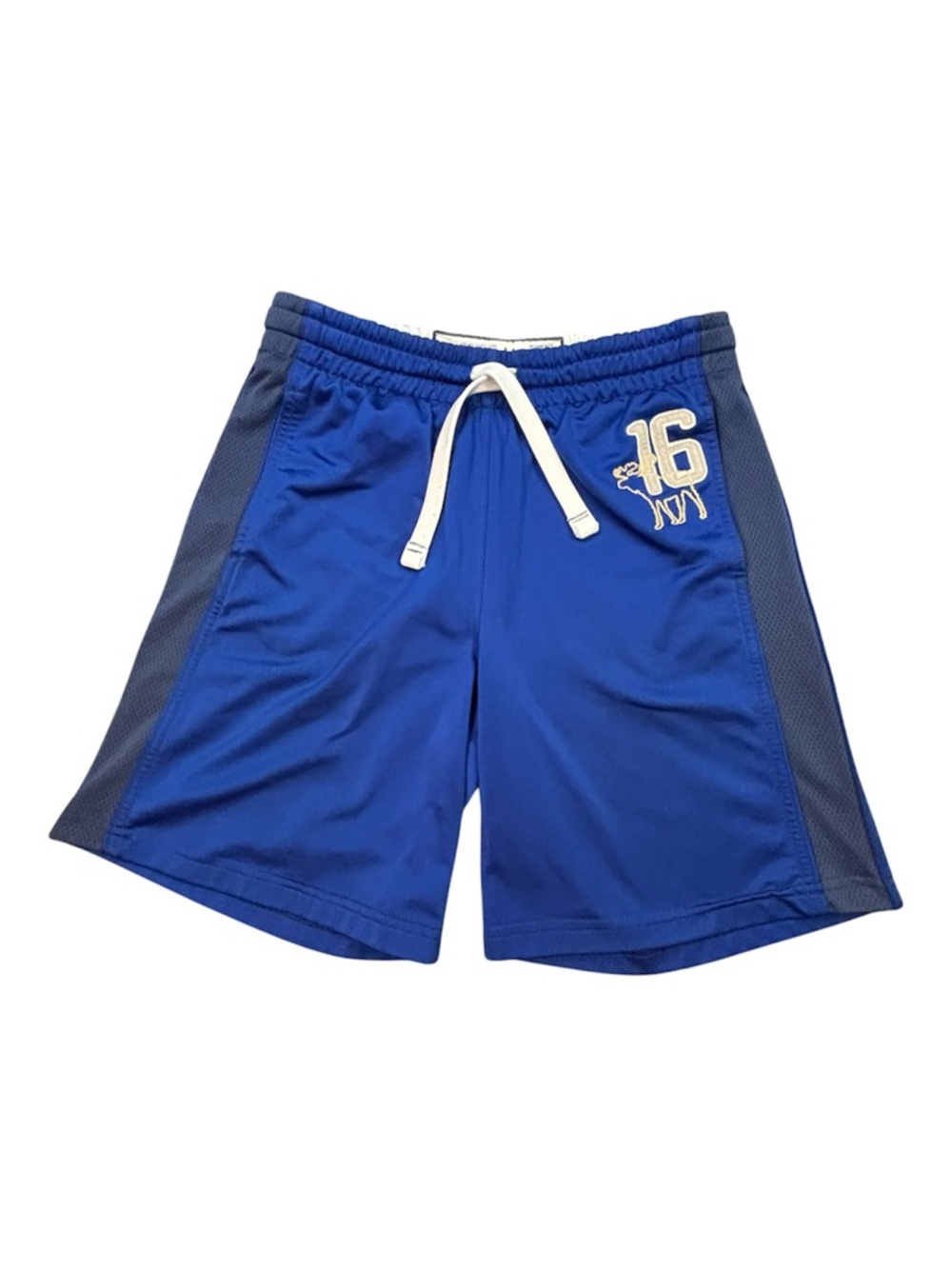 Abercrombie Kids Boys Large Athletic Shorts Blue Mesh Side Stripe Moose 16 Y2K